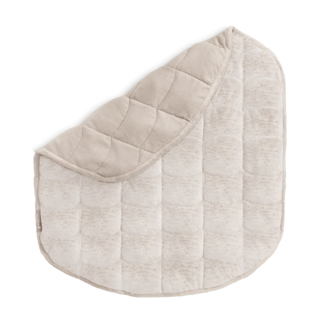 Teddy Body - Image 7