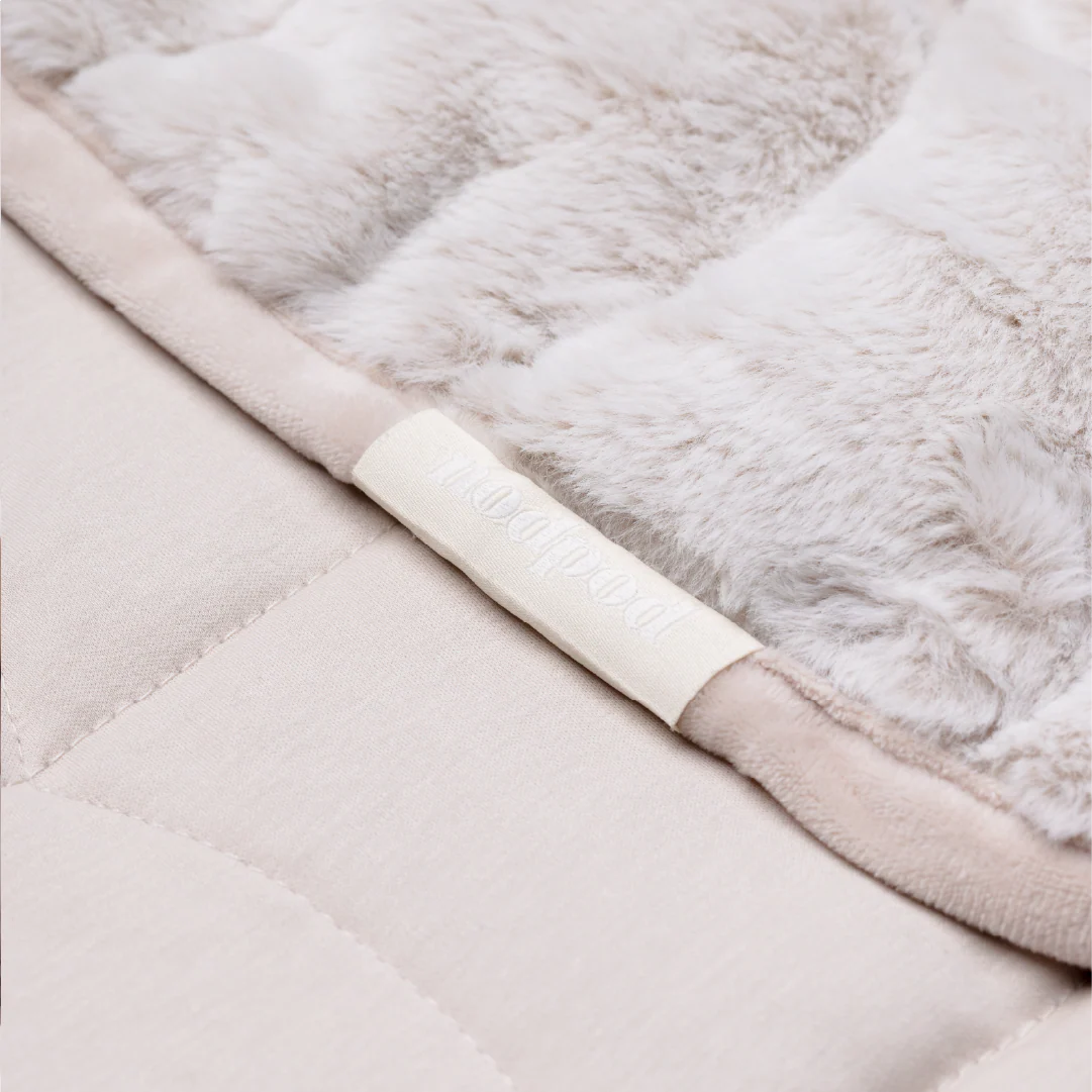 Teddy Body - Image 8